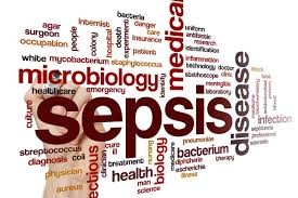 Sepsis on the Rise?