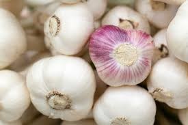 Garlic can keep you healthy!