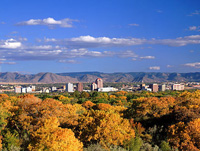 New Mexico1